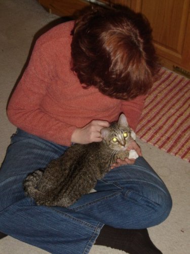 newkitty05 Already a lap cat.